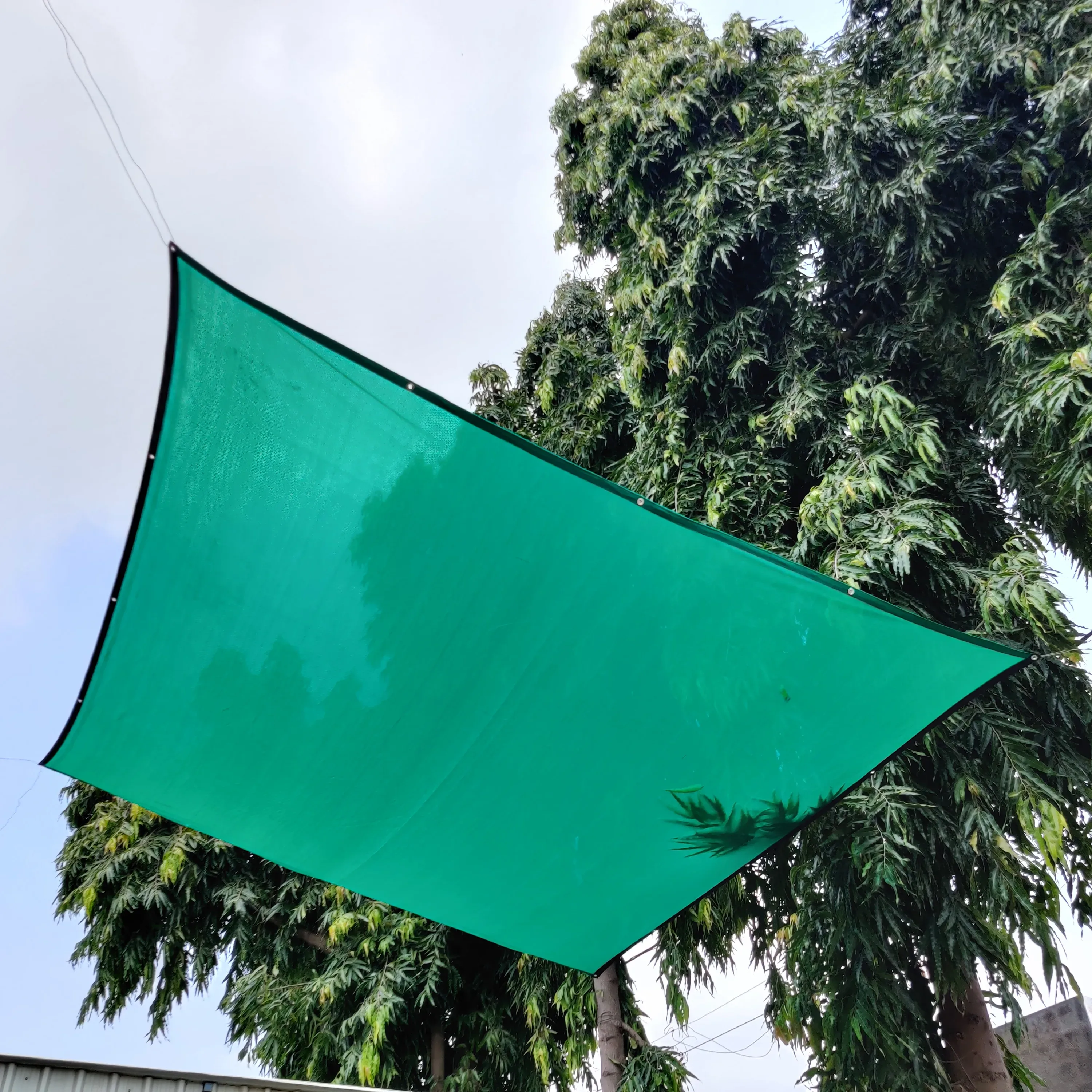 safety net